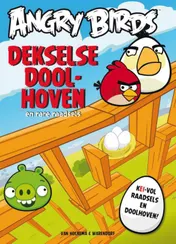 Omslag van Dekselse doolhoven