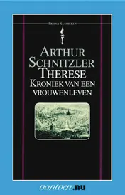 Omslag van Therese, kroniek van een vrouwenleven