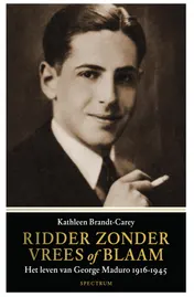Omslag van Ridder zonder vrees of blaam