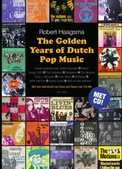Omslag van The golden years of Dutch pop music