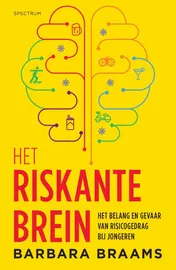 Omslag van Het riskante brein