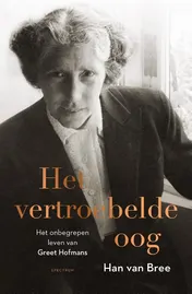 Omslag van Het vertroebelde oog