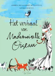 Omslag van Het verhaal van Mademoiselle Oiseau