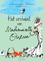 Omslag van Het verhaal van Mademoiselle Oiseau