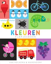 Omslag van Kleuren flapjesboek