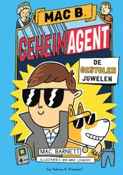 Omslag van De gestolen juwelen