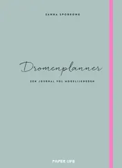Omslag van Dromenplanner