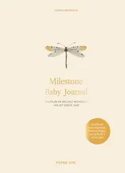 Omslag van Milestone Baby Journal