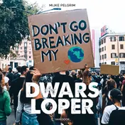 Omslag van Dwarsloper