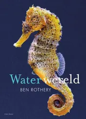 Omslag van Waterwereld