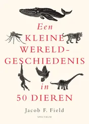 Omslag van Een kleine wereldgeschiedenis in 50 dieren