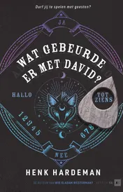 Omslag van Wat gebeurde er met David?