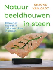 Omslag van Natuur beeldhouwen in steen