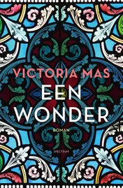 Omslag van Een wonder