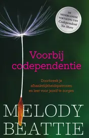 Omslag van Voorbij codependentie