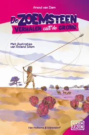 Omslag van De zoemsteen