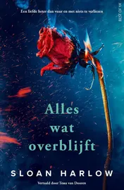Omslag van Alles wat overblijft