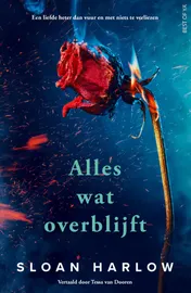Omslag van Alles wat overblijft