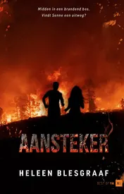 Omslag van Aansteker