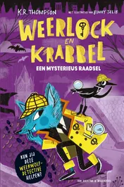 Omslag van Een mysterieus raadsel