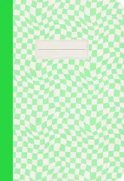 Omslag van Junk this journal