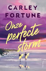 Omslag van Onze perfecte storm