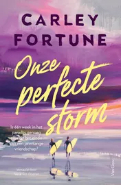 Omslag van Onze perfecte storm