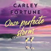 Omslag van Onze perfecte storm