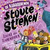 Omslag van Stoute streken