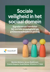 Omslag van Sociale veiligheid in het sociaal domein
