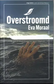 Omslag van Overstroomd