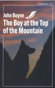 Omslag van The Boy at the Top of the Mountain