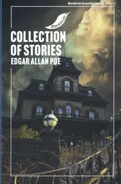 Omslag van Stories of Edgar Allan Poe