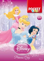 Omslag van Pocket Loco: Disney Princess