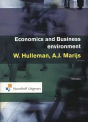 Omslag van Economics and business environment