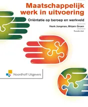 Omslag van Maatschappelijk werk in uitvoering
