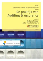 Omslag van De praktijk van auditing en assurance