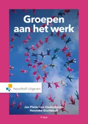Omslag van Groepen aan het werk