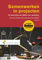 Omslag van Samenwerken in projecten