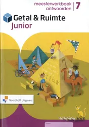 Omslag van meesterwerkboek antwoorden