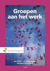 Omslag van Groepen aan het werk