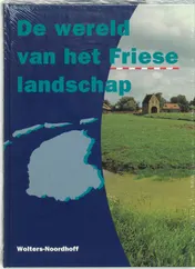 Omslag van De wereld van het Friese landschap