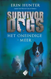 Omslag van Het oneindige meer