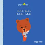 Omslag van Boris Beer is niet moe