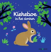 Omslag van Kiekeboe in het donker