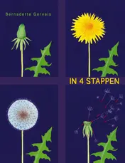 Omslag van In 4 stappen