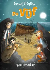 Omslag van De Vijf gaan ervandoor