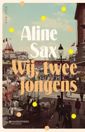 Omslag van Wij, twee jongens