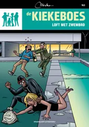 Omslag van Loft met zwembad