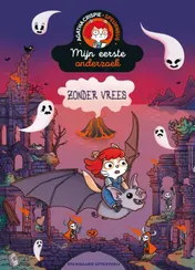 Omslag van Zonder vrees